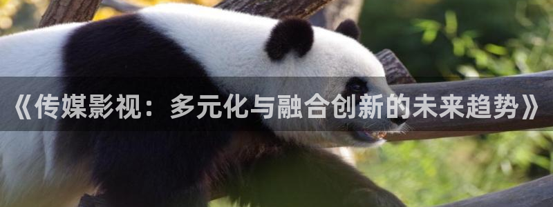 yy4480免费高清影视：《传媒影视：多元化与融合创新的未来趋势》