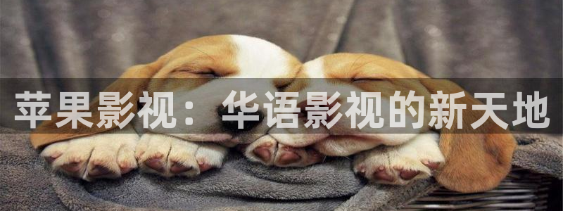 yy4480午夜：苹果影视：华语影视的新天地